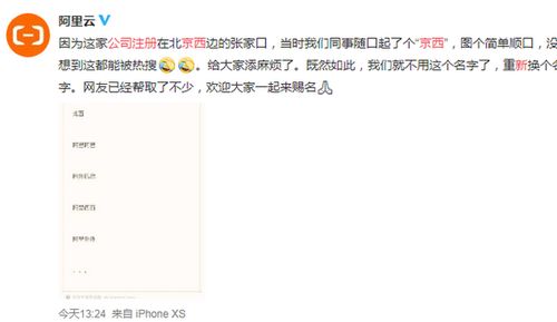 企业命名之“简单顺口” 从“京西”到“信息咨询服务”的命名哲学